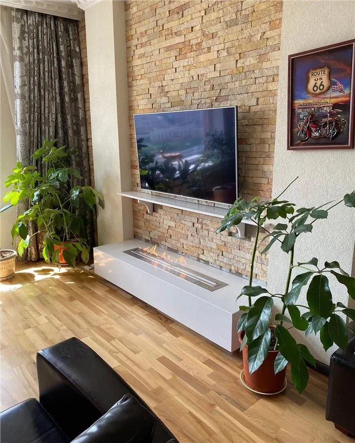 Intelligent Ethanol Burner Insert With Remote Control